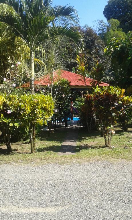 Cabinas Nirvana Ecolodge Cahuita Zewnętrze zdjęcie