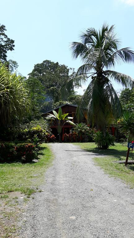Cabinas Nirvana Ecolodge Cahuita Zewnętrze zdjęcie