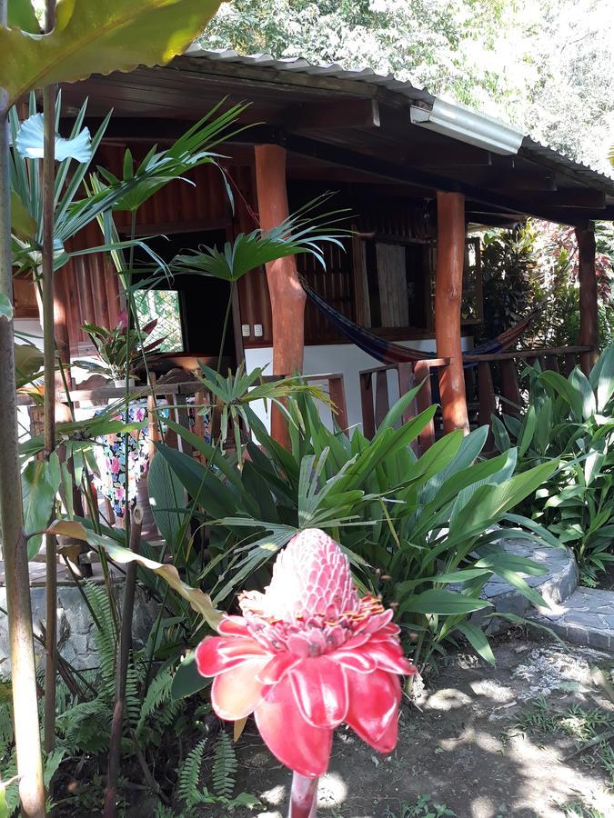Cabinas Nirvana Ecolodge Cahuita Zewnętrze zdjęcie