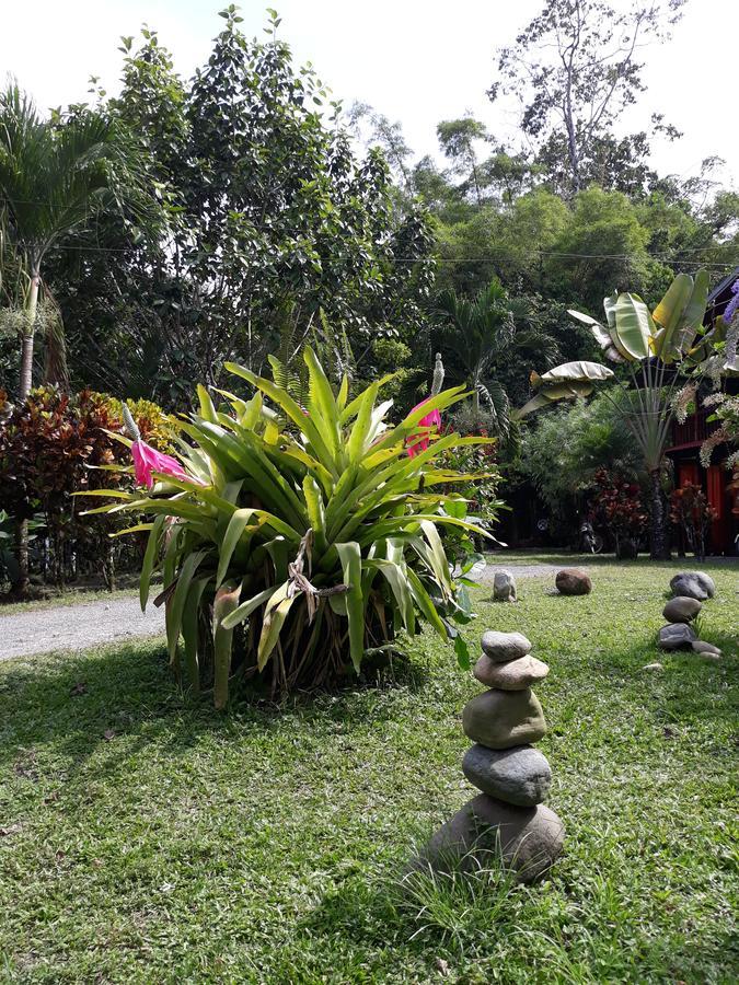 Cabinas Nirvana Ecolodge Cahuita Zewnętrze zdjęcie