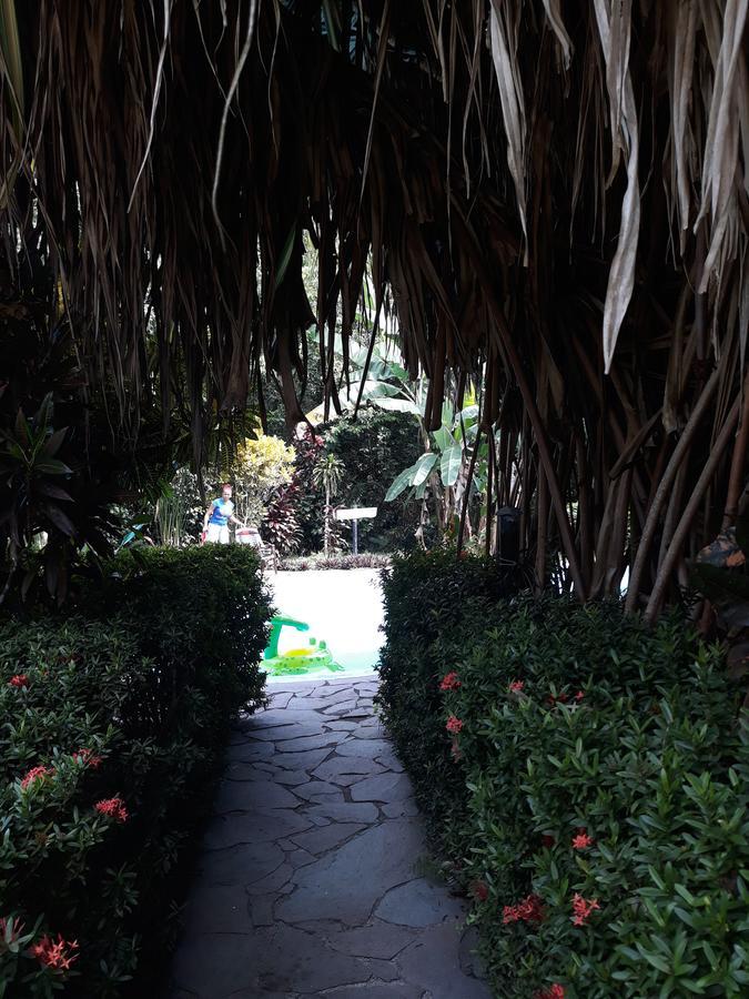 Cabinas Nirvana Ecolodge Cahuita Zewnętrze zdjęcie