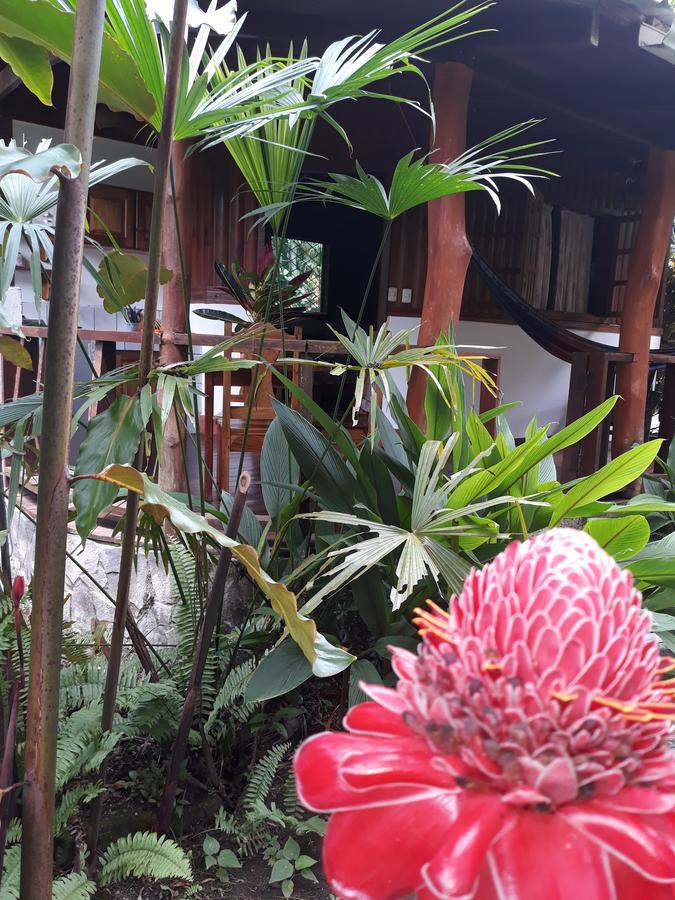 Cabinas Nirvana Ecolodge Cahuita Zewnętrze zdjęcie