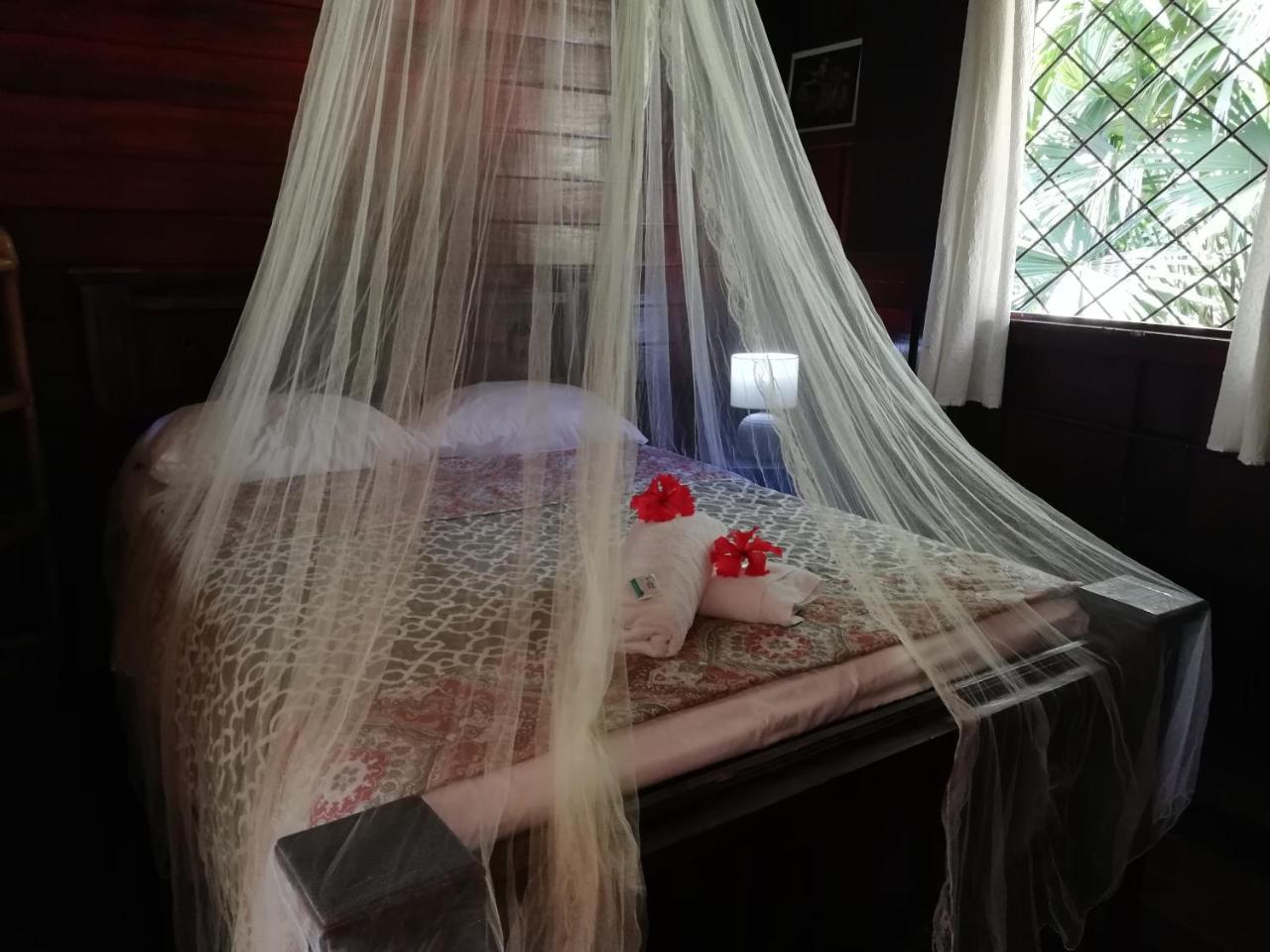 Cabinas Nirvana Ecolodge Cahuita Zewnętrze zdjęcie