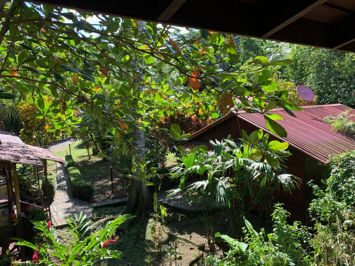 Cabinas Nirvana Ecolodge Cahuita Zewnętrze zdjęcie
