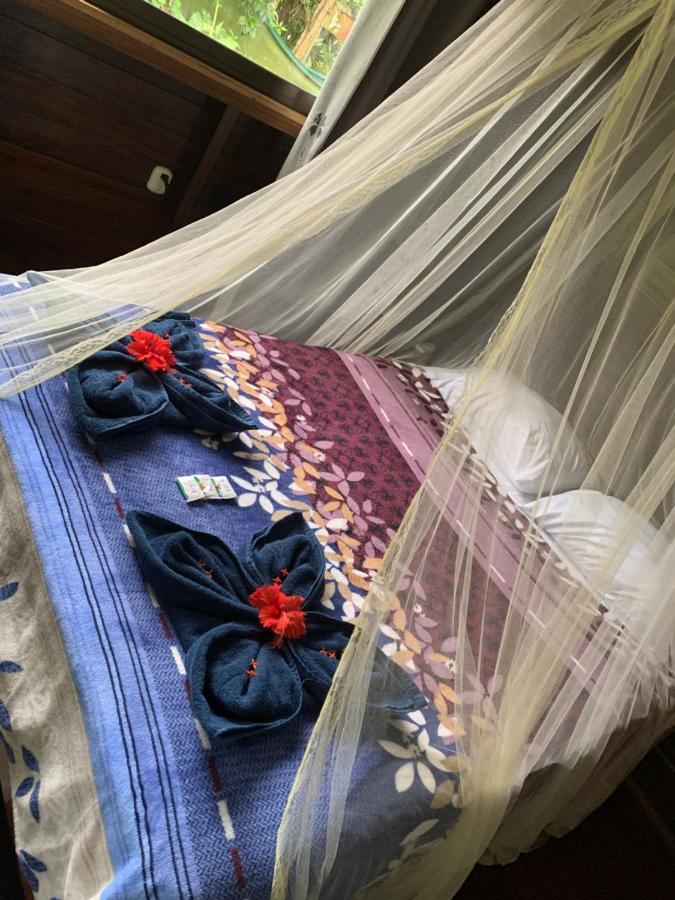 Cabinas Nirvana Ecolodge Cahuita Zewnętrze zdjęcie