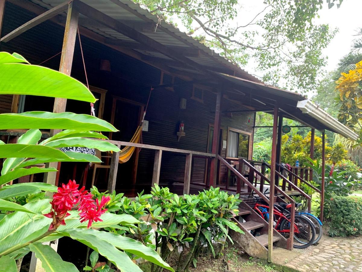 Cabinas Nirvana Ecolodge Cahuita Zewnętrze zdjęcie